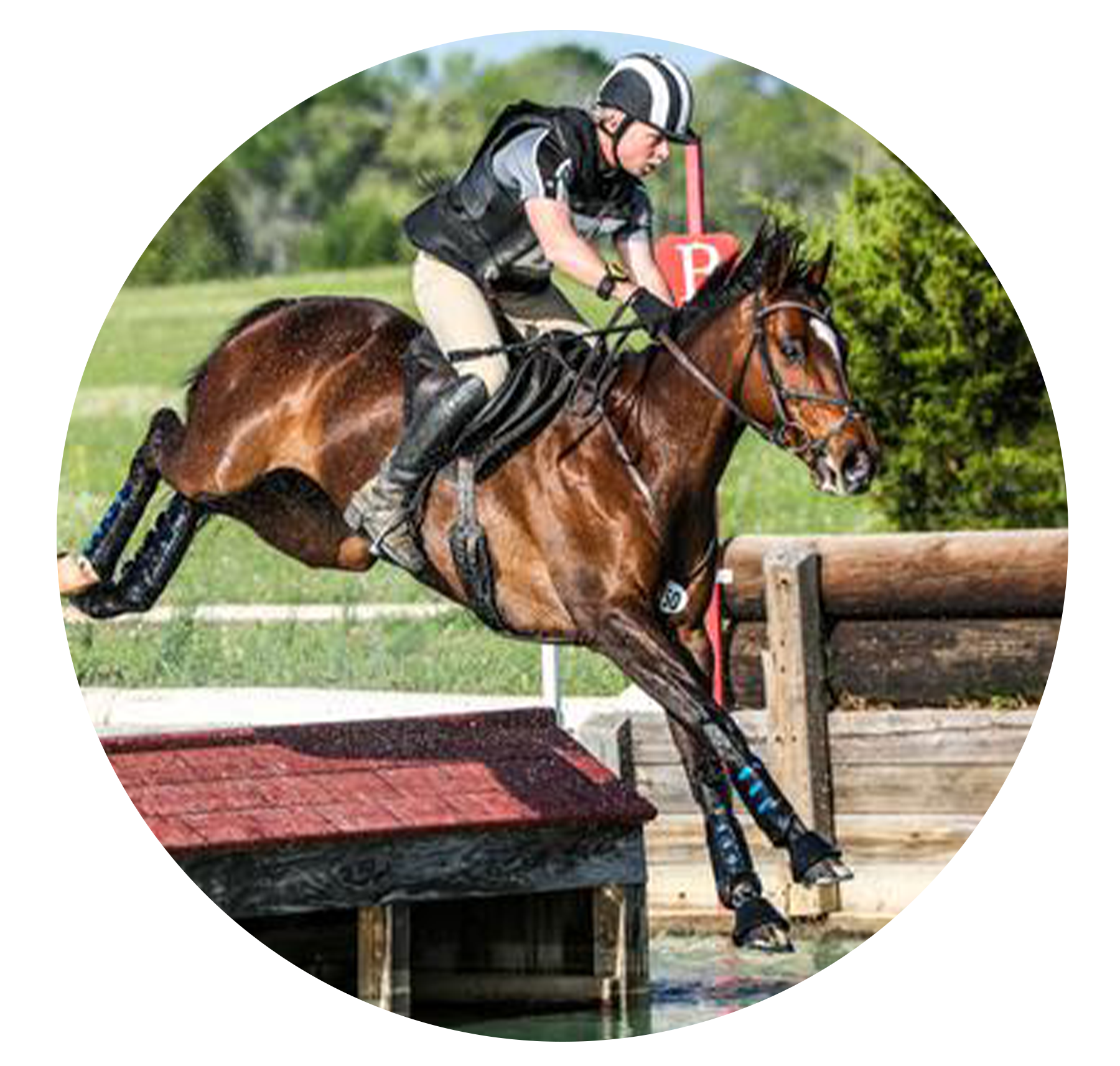 Jody Star T Ranch Profile