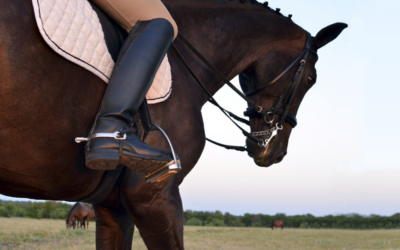 Curragh: Dressage Schooling Show